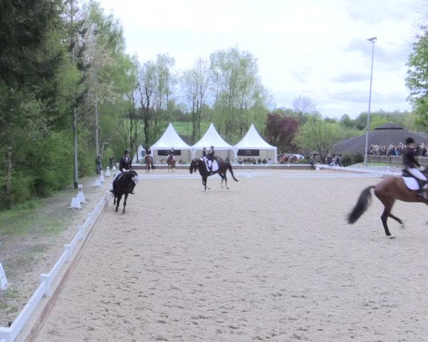 Reitturnier Mettmann - Reitanlage Löckenhoff 2017
