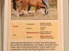 broodmare Coco Chanel S (German Riding Pony, 2007, from Cyriac WE)