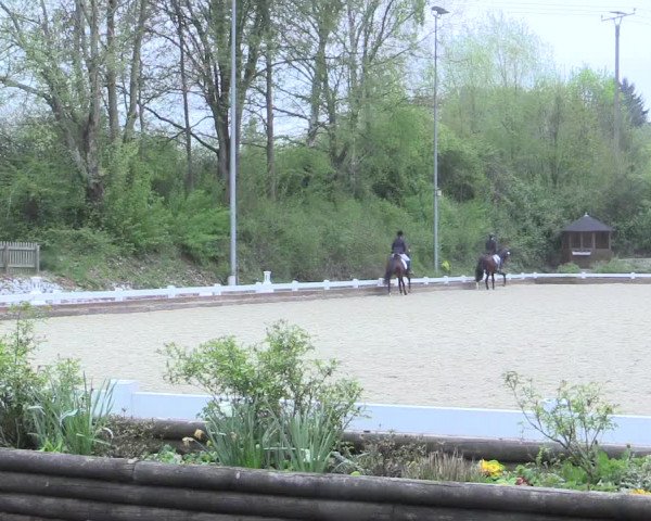 Reitturnier Mettmann - Reitanlage Löckenhoff 2017