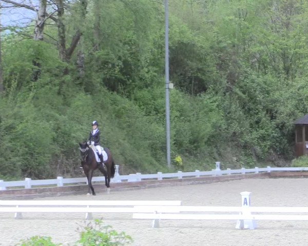 Reitturnier Mettmann - Reitanlage Löckenhoff 2017