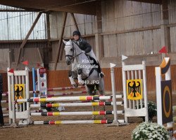 jumper Caillou 30 (German Sport Horse, 2007, from Caitano)