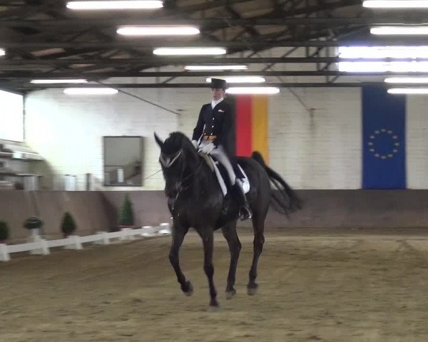 Dressurturnier Jüchen-Waat 2017