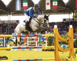 stallion Caribis Z (Zangersheide riding horse, 2007, from Caritano Z)