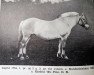 Zuchtstute Ingrid N.1754 (Fjordpferd, 1918, von Kandalsblakken)
