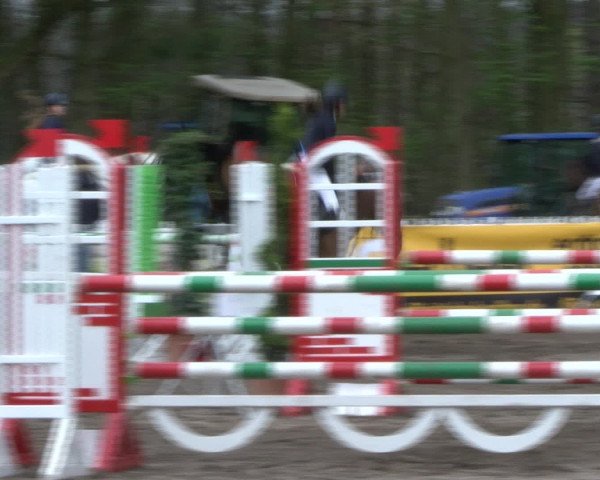 Reitturnier Bad Schwartau 2017