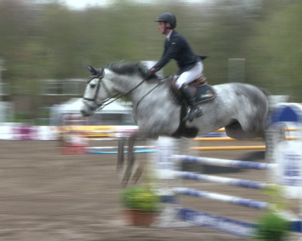 Reitturnier Bad Schwartau 2017
