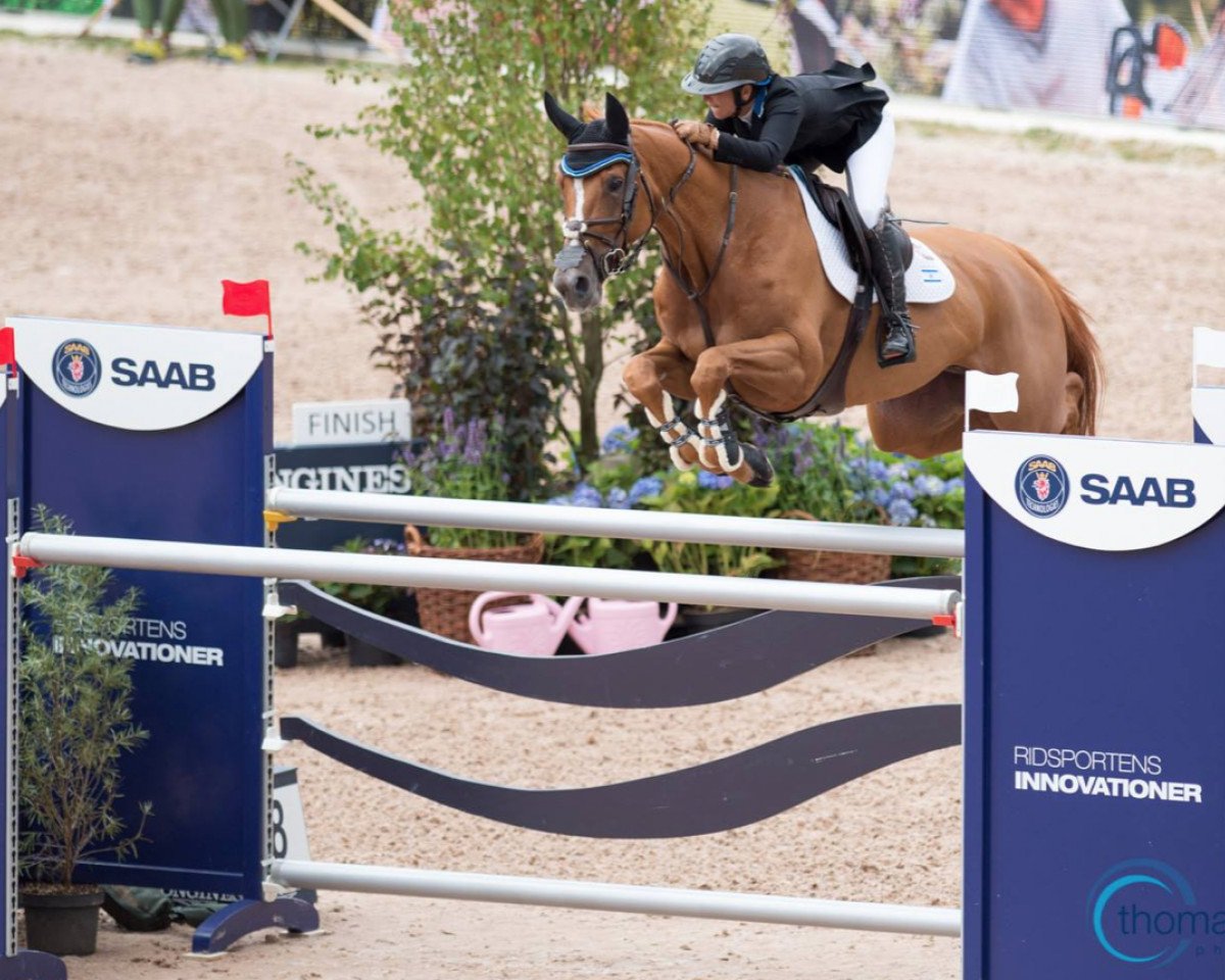 jumper Lizziemary (anglo european sporthorse, 2006, from Cabri D’elle)