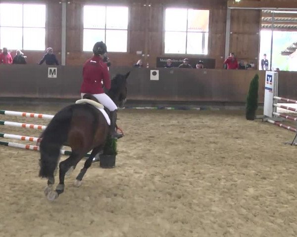 Reitturnier Leutkirch-Diepoldshofen 2017