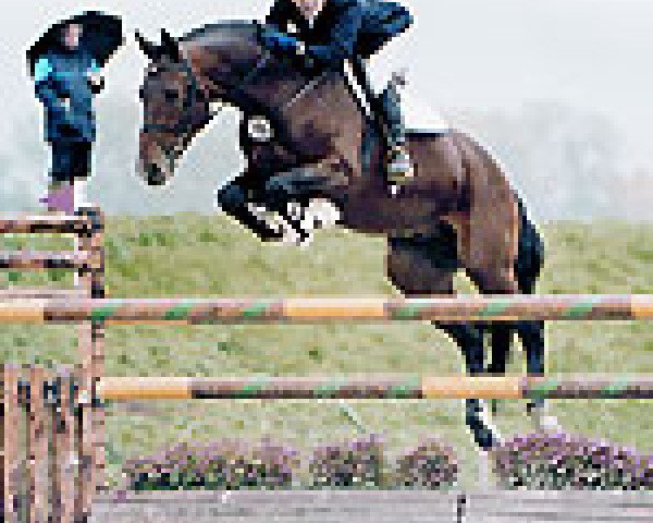 stallion Apanarde CH (Swiss Warmblood, 1992, from Apartos)