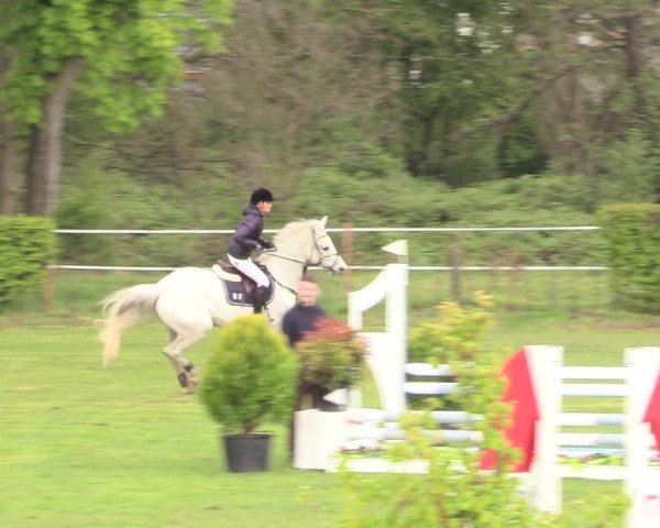 Reitturnier Jülich 2017
