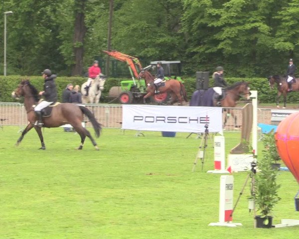 Reitturnier Jülich 2017