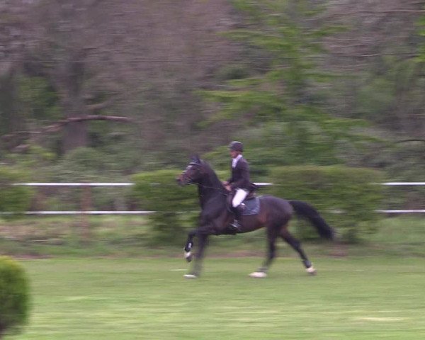 Reitturnier Jülich 2017