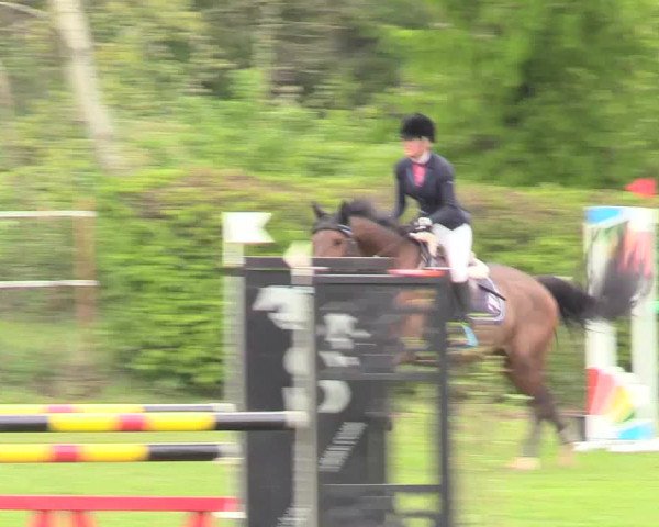 Reitturnier Jülich 2017