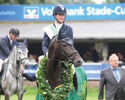 Deckhengst Stakkato's Golden (Oldenburger Springpferd, 2015, von Stakkato Gold)