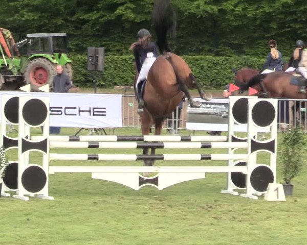 Reitturnier Jülich 2017