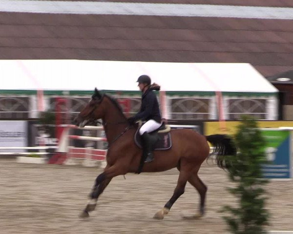 Reitturnier Havixbeck 2017
