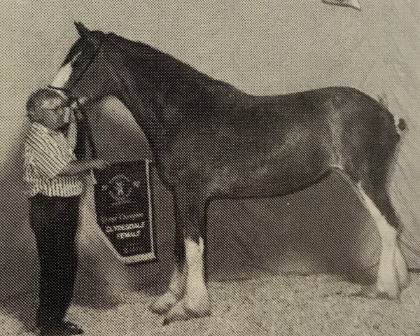 broodmare Green Leaf Amy (Clydesdale, 1989, from Torrs King O'Galloway)