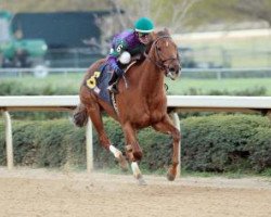 broodmare Arienza xx (Thoroughbred, 2008, from Giant's Causeway xx)