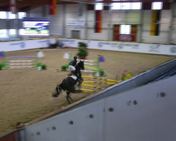 Christmas Jumping Trophy Prussendorf 2021