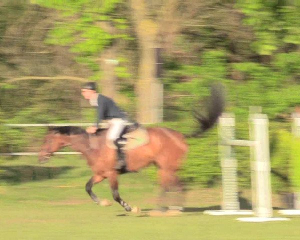 Reitturnier Jülich 2017