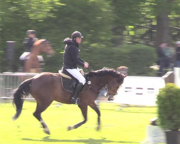 Reitturnier Jülich 2017