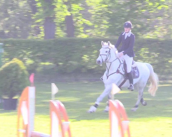 Reitturnier Jülich 2017