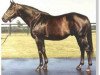 stallion Clever Trick xx (Thoroughbred, 1976, from Icecapade xx)