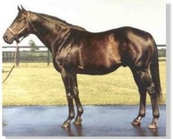 stallion Clever Trick xx (Thoroughbred, 1976, from Icecapade xx)