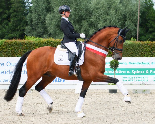 stallion Valverde NRW (Westphalian, 2014, from Vitalis)