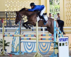 broodmare Carly (KWPN (Royal Dutch Sporthorse), 2007, from VDL Harley)