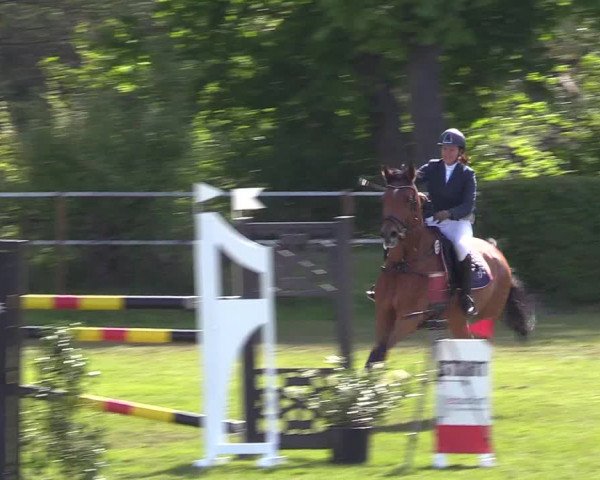 Reitturnier Jülich 2017