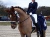 dressage horse Dr. Fred (Oldenburg, 2014, from Don Frederic 3)