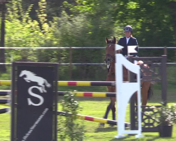 Reitturnier Jülich 2017