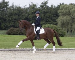 stallion My Vitality (KWPN (Royal Dutch Sporthorse), 2017, from Vivaldi)