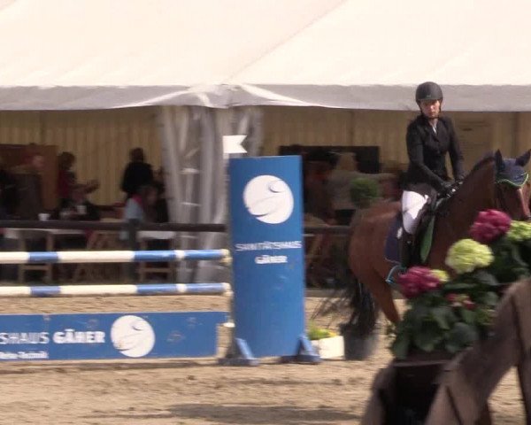 Reitturnier Havixbeck 2017