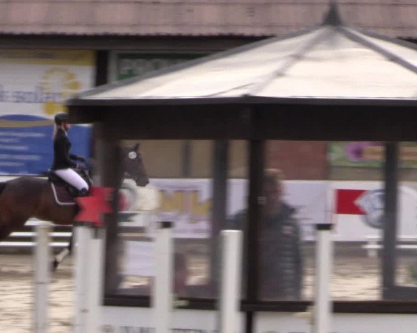 Reitturnier Havixbeck 2017