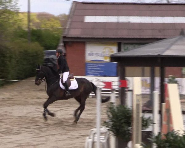 Reitturnier Havixbeck 2017