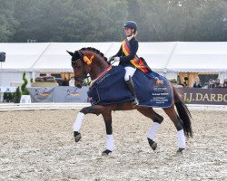 dressage horse Fynch Hatton (Oldenburger, 2016, from Formel Eins 11)