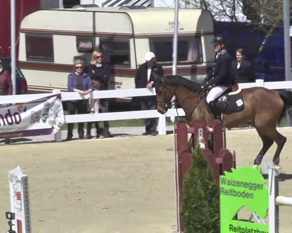 Reitturnier Leutkirch-Diepoldshofen 2017
