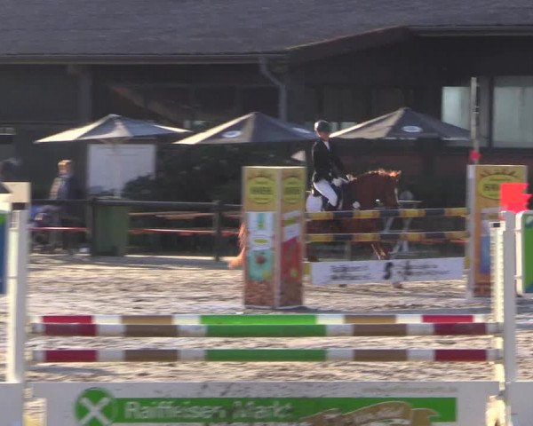 Reitturnier Havixbeck 2017