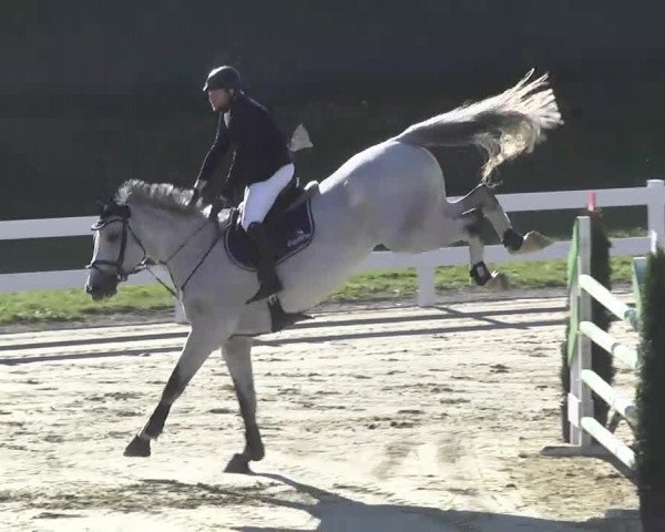 Reitturnier Leutkirch-Diepoldshofen 2017