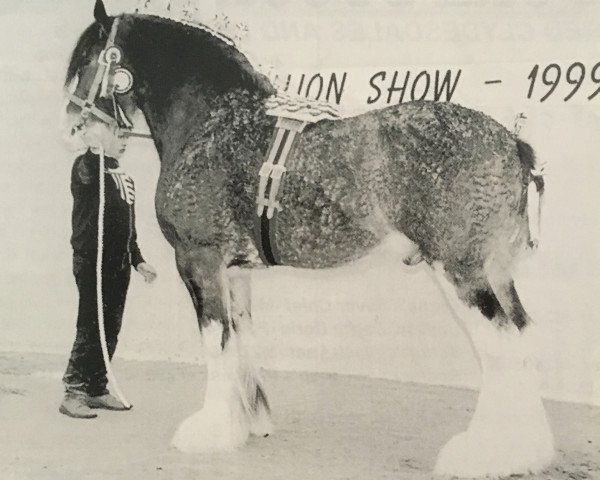 Deckhengst Hillhouse General Elect (Clydesdale, 1992, von Doura Expectation)