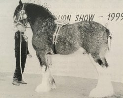 stallion Hillhouse General Elect (Clydesdale, 1992, from Doura Expectation)