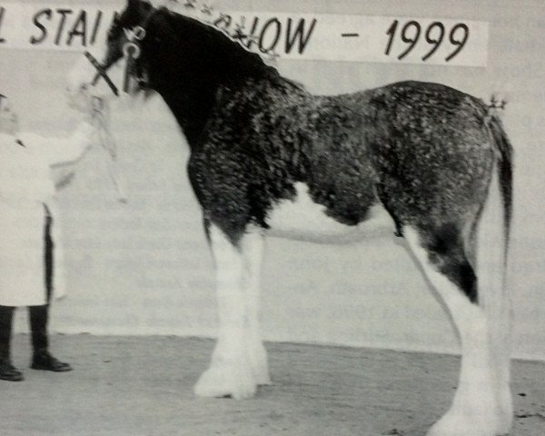 stallion Hillside Lorton Legend (Clydesdale, 1997, from Collessie Benedictine)