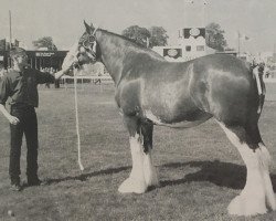 broodmare Dalfoil Edelweiss (Clydesdale, 1991, from Doura Expectation)