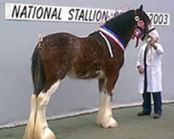 stallion Dillars Scottie Boy (Clydesdale, 2001, from Dillars Leader)