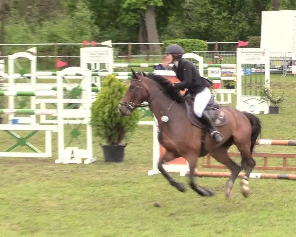 Reitturnier Jülich 2017