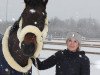 dressage horse Criminal Tango (Westphalian, 2011, from Captain Fire)