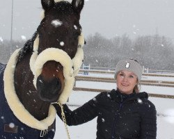 dressage horse Criminal Tango (Westphalian, 2011, from Captain Fire)