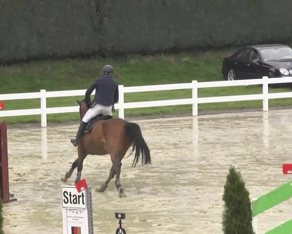 Reitturnier Leutkirch-Diepoldshofen 2017